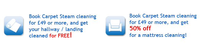 Christmas special offers: Book Carpet Steam cleaning.